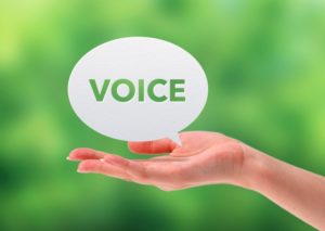 voice